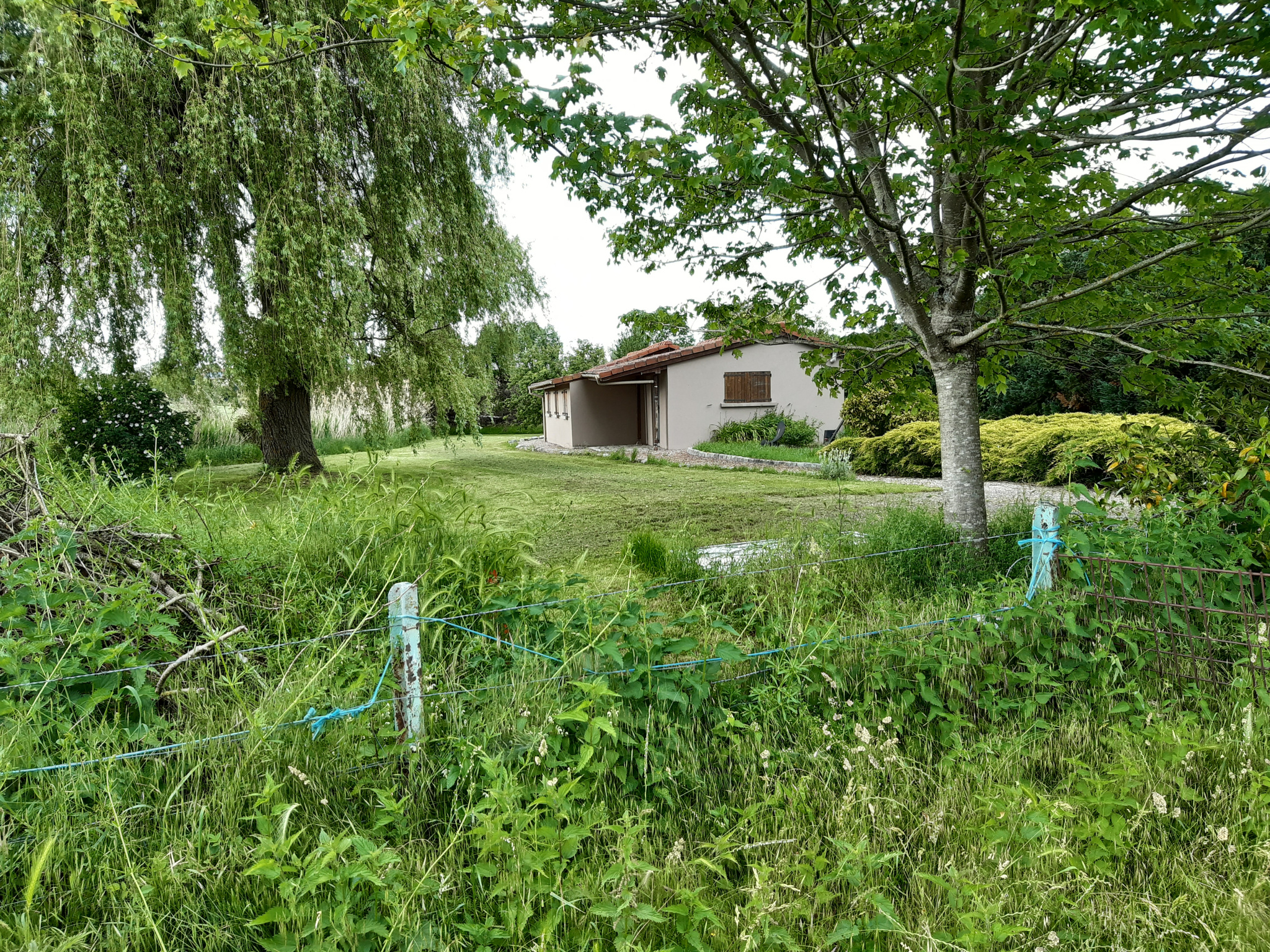 Photo 5
