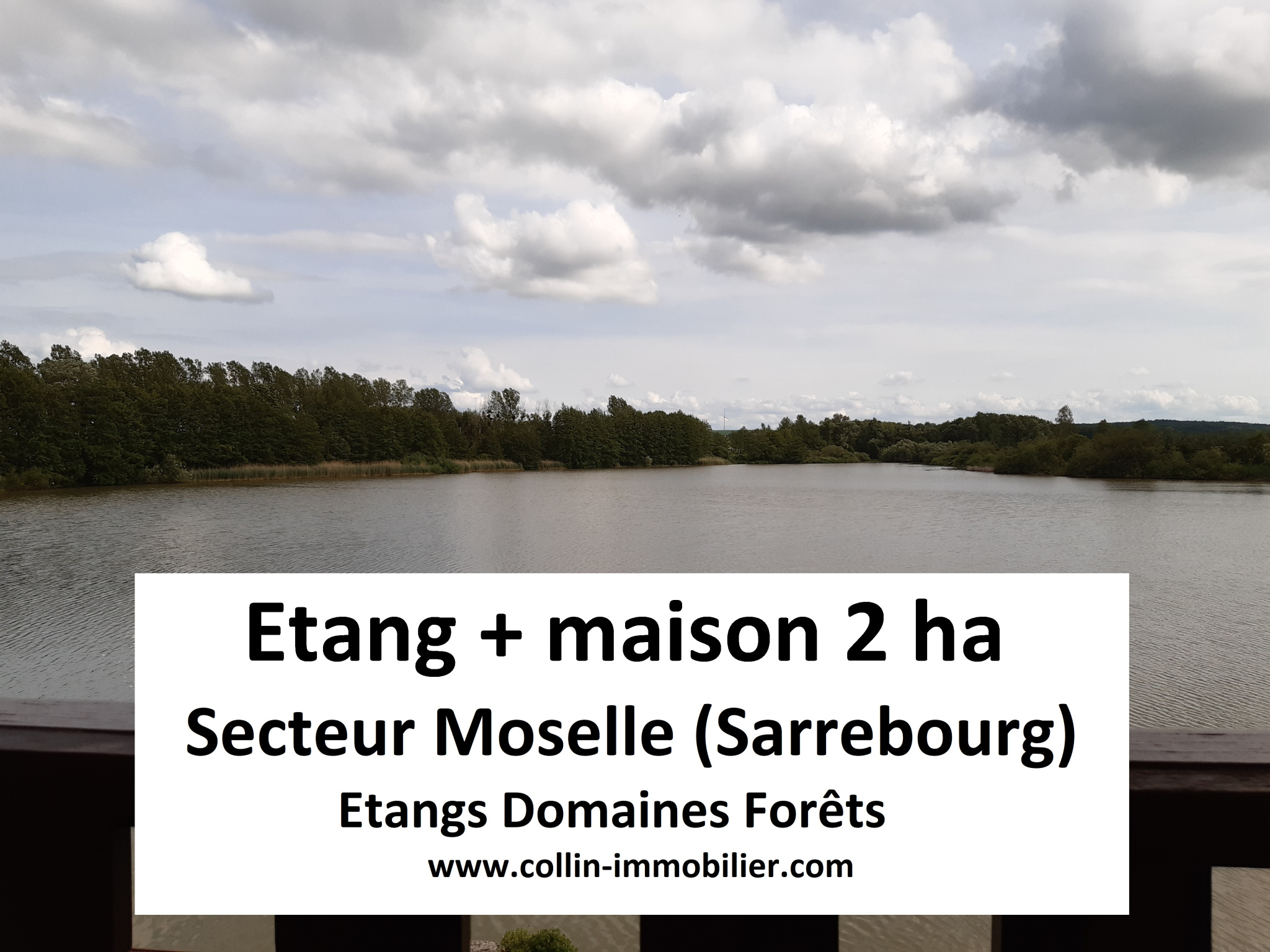 Photo bien immobilier